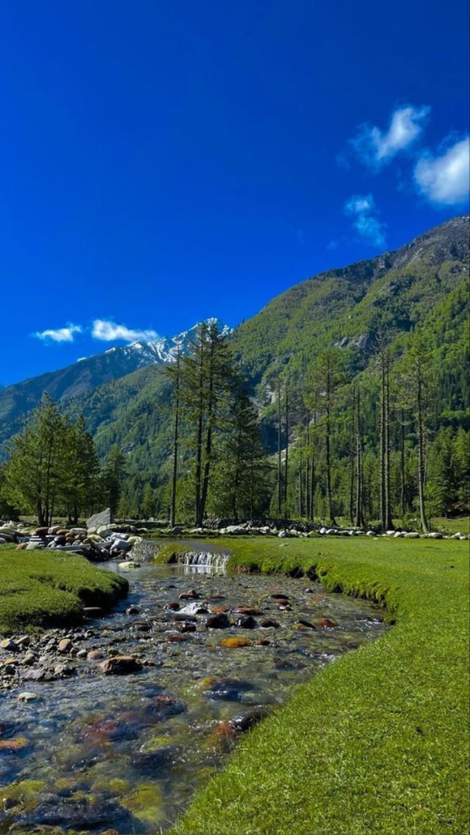 İlan Fotoğrafı